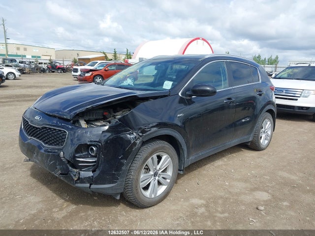 Продаж на аукціоні авто 2017 Kia Sportage Lx, vin: KNDPMCAC0H7286545, номер лоту: 12632507