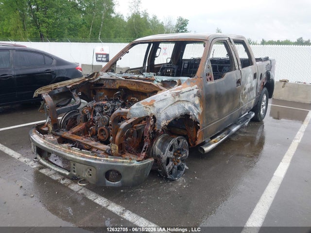 12632705 :رقم المزاد ، 1FTFW1EV4AFB41039 vin ، 2010 Ford F-150 Fx4/harley-davidson/king Ranch/lariat/platinum/xlt مزاد بيع