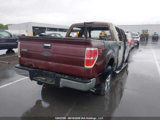12632705 :رقم المزاد ، 1FTFW1EV4AFB41039 vin ، 2010 Ford F-150 Fx4/harley-davidson/king Ranch/lariat/platinum/xlt مزاد بيع