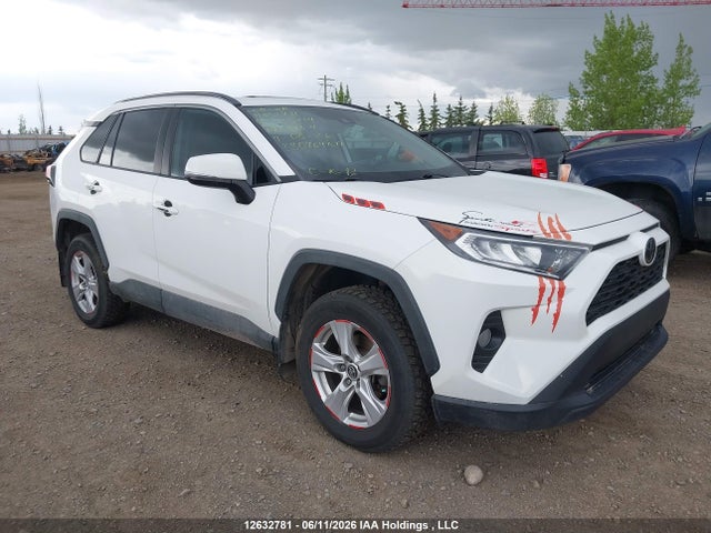 Toyota Rav4 Xle 2019 2T3R1RFV3KW033214 zdjęcie główne