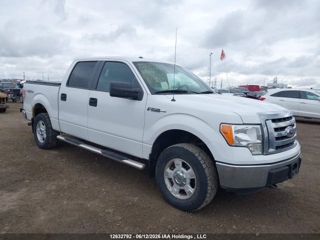 12632792 :رقم المزاد ، 1FTFW1EF1CFC27419 vin ، 2012 Ford F-150 Fx4/king Ranch/lariat/platinum/xlt مزاد بيع