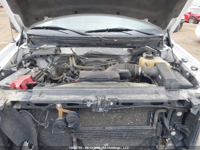 12632792 :رقم المزاد ، 1FTFW1EF1CFC27419 vin ، 2012 Ford F-150 Fx4/king Ranch/lariat/platinum/xlt مزاد بيع