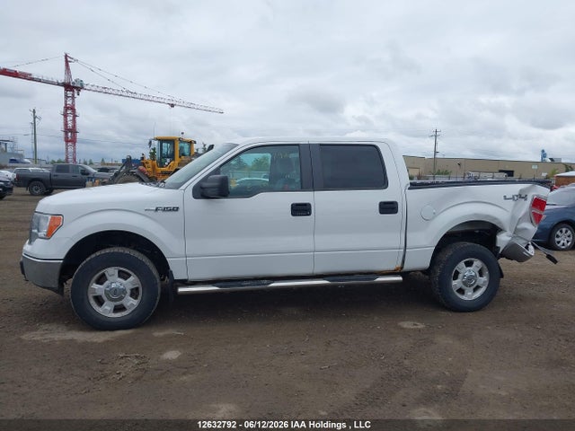 12632792 :رقم المزاد ، 1FTFW1EF1CFC27419 vin ، 2012 Ford F-150 Fx4/king Ranch/lariat/platinum/xlt مزاد بيع