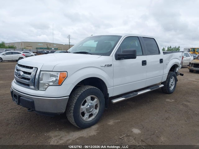 12632792 :رقم المزاد ، 1FTFW1EF1CFC27419 vin ، 2012 Ford F-150 Fx4/king Ranch/lariat/platinum/xlt مزاد بيع