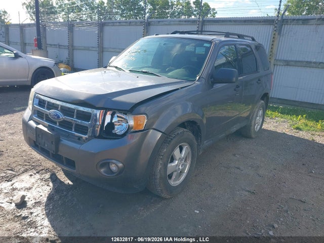 12632817 :رقم المزاد ، 1FMCU0DG7BKC00384 vin ، 2011 Ford Escape Xlt مزاد بيع