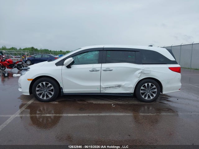 Продаж на аукціоні авто 2023 Honda Odyssey Ex-l, vin: 5FNRL6H67PB502381, номер лоту: 12632846