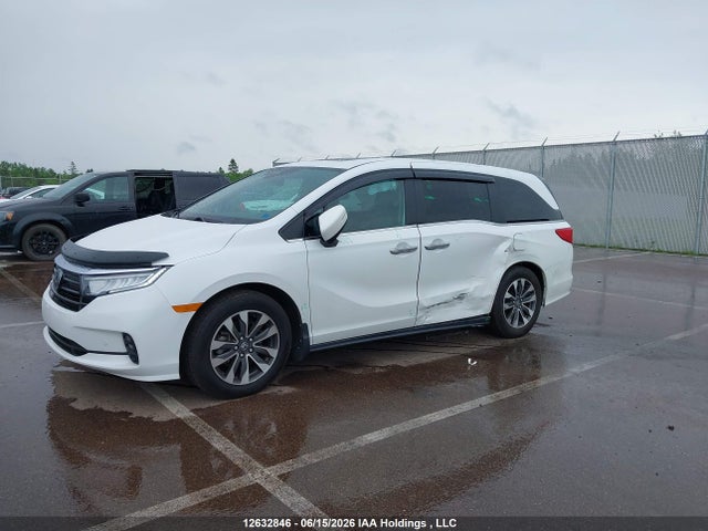 Продаж на аукціоні авто 2023 Honda Odyssey Ex-l, vin: 5FNRL6H67PB502381, номер лоту: 12632846
