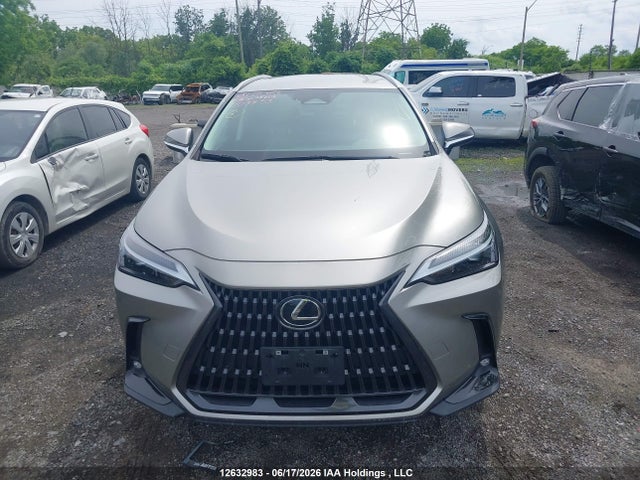 Lexus NX 250 2023 2T2ADCEZ4PC003853 Image 12