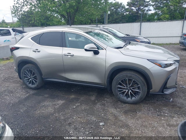 Lexus NX 250 2023 2T2ADCEZ4PC003853 Image 13