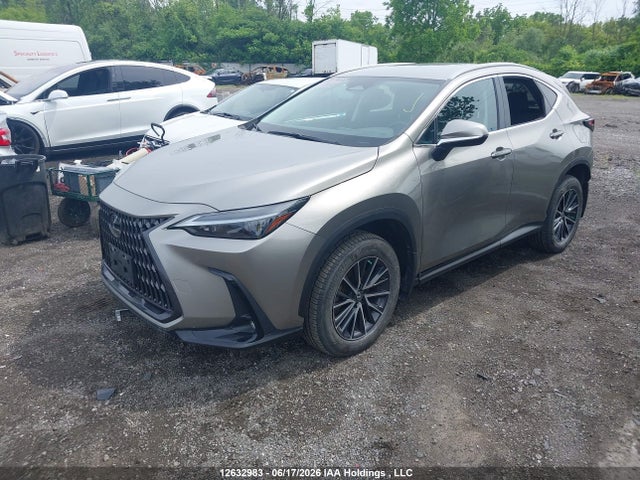 Lexus NX 250 2023 2T2ADCEZ4PC003853 Image 2