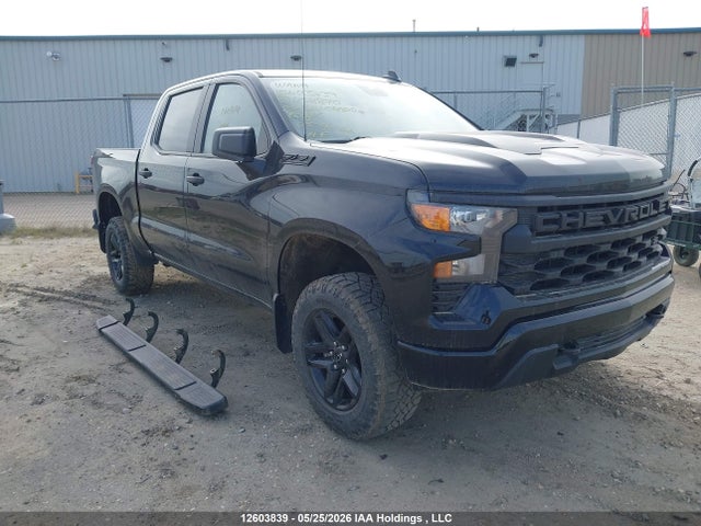 Продаж на аукціоні авто 2022 Chevrolet Silverado 1500 Custom Trail Boss, vin: 3GCPDCED5NG658870, номер лоту: 12603839
