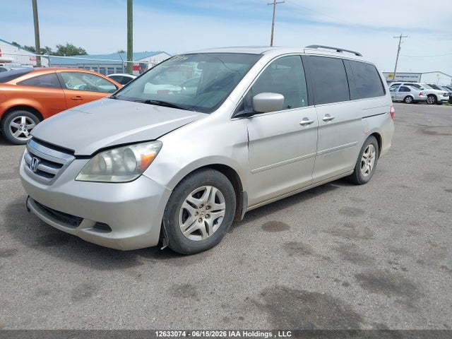 2006 Honda Odyssey Exl მანქანა იყიდება აუქციონზე, vin: 5FNRL38696B511113, აუქციონის ნომერი: 12633074