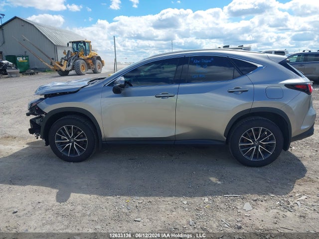 JTJHKCFZ2S2060581 Lexus Nx 450h Luxury/450h F Sport