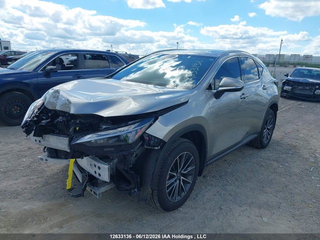 JTJHKCFZ2S2060581 Lexus Nx 450h Luxury/450h F Sport
