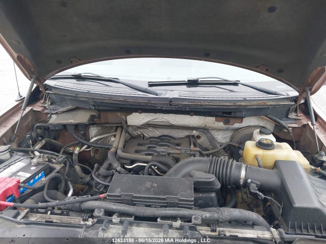 Продаж на аукціоні авто 2011 Ford F150, vin: 1FTNF1CF1BKD66471, номер лоту: 12633158