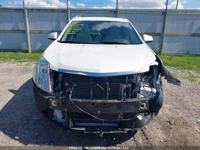 3GYFNBE3XGS579831 Cadillac Srx Luxury Collection
