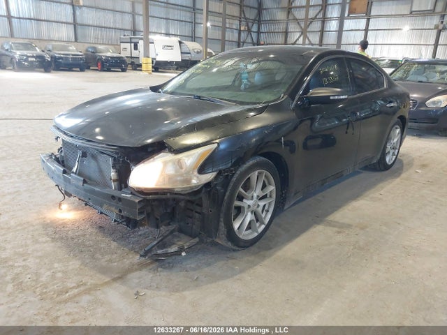 Продаж на аукціоні авто 2009 Nissan Maxima, vin: 1N4AA51E39C854071, номер лоту: 12633267