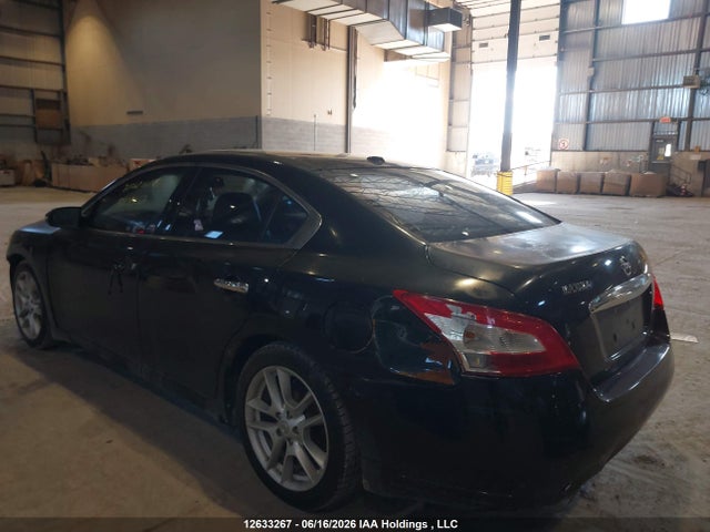 Продаж на аукціоні авто 2009 Nissan Maxima, vin: 1N4AA51E39C854071, номер лоту: 12633267