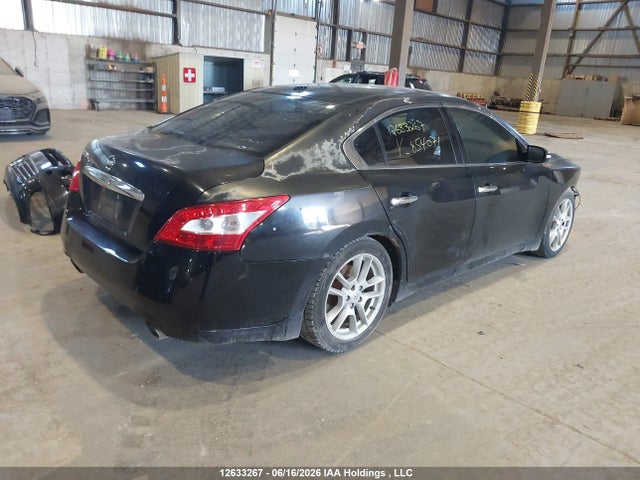 Продаж на аукціоні авто 2009 Nissan Maxima, vin: 1N4AA51E39C854071, номер лоту: 12633267
