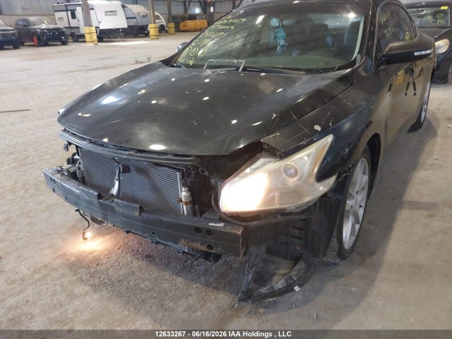 Продаж на аукціоні авто 2009 Nissan Maxima, vin: 1N4AA51E39C854071, номер лоту: 12633267