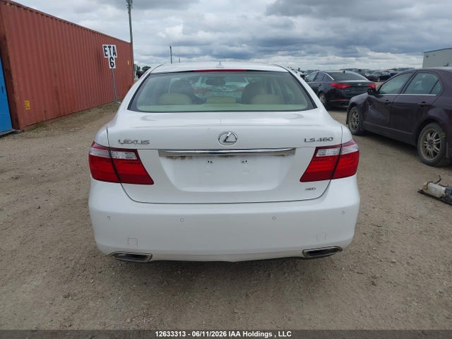 12633313 :رقم المزاد ، JTHCL46F395002976 vin ، 2009 Lexus Ls 460 مزاد بيع