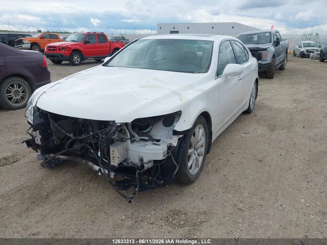 12633313 :رقم المزاد ، JTHCL46F395002976 vin ، 2009 Lexus Ls 460 مزاد بيع