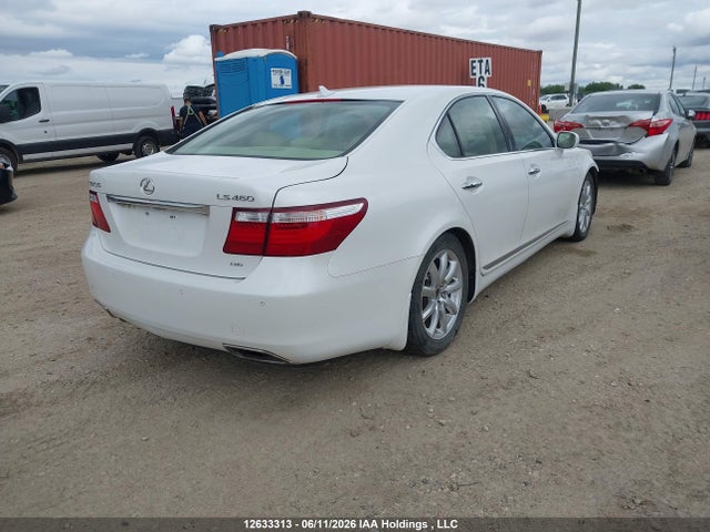 12633313 :رقم المزاد ، JTHCL46F395002976 vin ، 2009 Lexus Ls 460 مزاد بيع