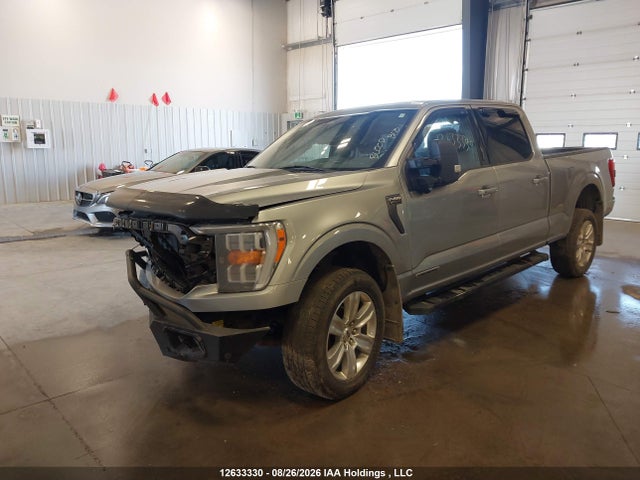 1FTFW1ED2PFA77261 Ford F-150 Xlt