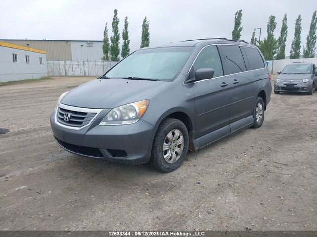 Продаж на аукціоні авто 2010 Honda Odyssey, vin: 5FNRL3H52AB501989, номер лоту: 12633344