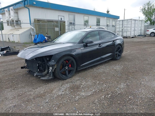 Продажа на аукционе авто 2019 Audi S5 3.0t Technik, vin: WAUC4CF55KA028828, номер лота: 12633466