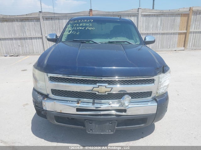 2011 Chevrolet Silverado 1500 Ls Cheyenne Edition მანქანა იყიდება აუქციონზე, vin: 1GCRCREA1BZ238703, აუქციონის ნომერი: 12633539