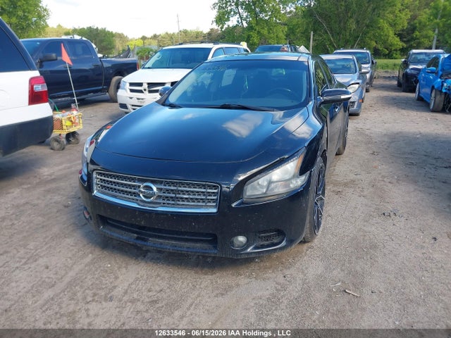 Продаж на аукціоні авто 2010 Nissan Maxima S/sv, vin: 1N4AA5AP4AC869880, номер лоту: 12633546