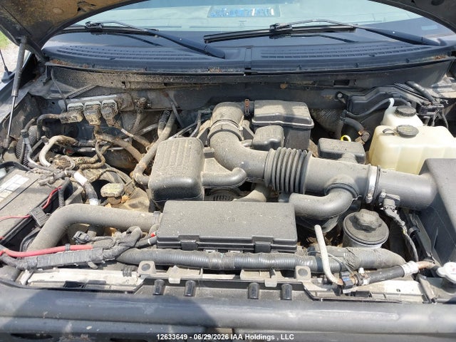 12633649 :رقم المزاد ، 1FTVX1EV3AKB25107 vin ، 2010 Ford F-150 Fx4/lariat/svt Raptor/xl/xlt مزاد بيع
