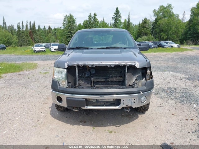 12633649 :رقم المزاد ، 1FTVX1EV3AKB25107 vin ، 2010 Ford F-150 Fx4/lariat/svt Raptor/xl/xlt مزاد بيع