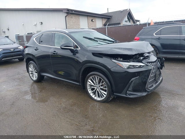 12633708 :رقم المزاد ، 2T2GKCEZ9RC016505 vin ، 2024 Lexus Nx 350h 350h مزاد بيع