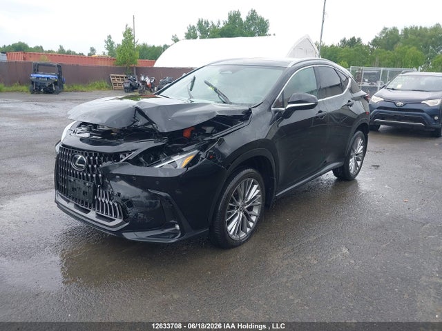 Продаж на аукціоні авто 2024 Lexus Nx 350h 350h, vin: 2T2GKCEZ9RC016505, номер лоту: 12633708