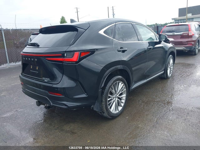 Продаж на аукціоні авто 2024 Lexus Nx 350h 350h, vin: 2T2GKCEZ9RC016505, номер лоту: 12633708