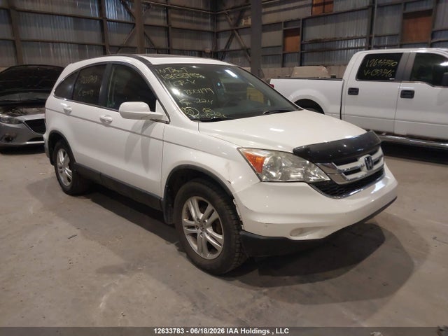Продаж на аукціоні авто 2011 Honda Cr-v, vin: 5J6RE3H58BL800499, номер лоту: 12633783