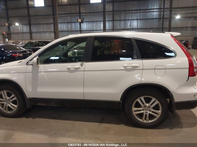 Продаж на аукціоні авто 2011 Honda Cr-v, vin: 5J6RE3H58BL800499, номер лоту: 12633783