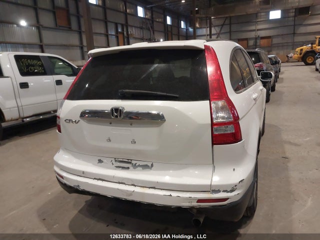 Продаж на аукціоні авто 2011 Honda Cr-v, vin: 5J6RE3H58BL800499, номер лоту: 12633783
