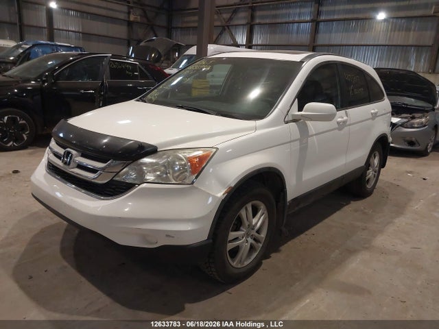 Продаж на аукціоні авто 2011 Honda Cr-v, vin: 5J6RE3H58BL800499, номер лоту: 12633783