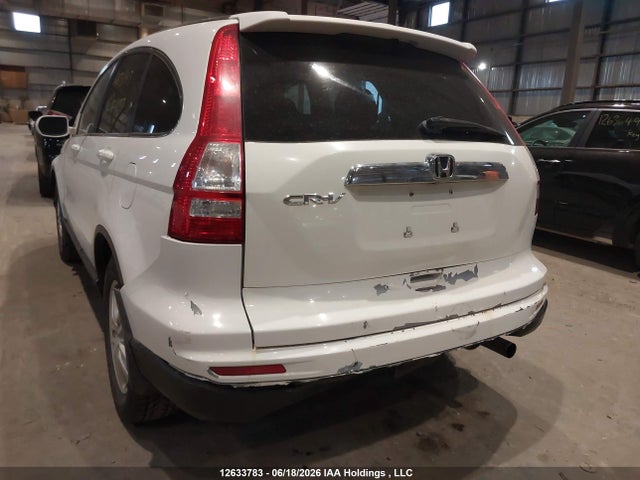 Продаж на аукціоні авто 2011 Honda Cr-v, vin: 5J6RE3H58BL800499, номер лоту: 12633783