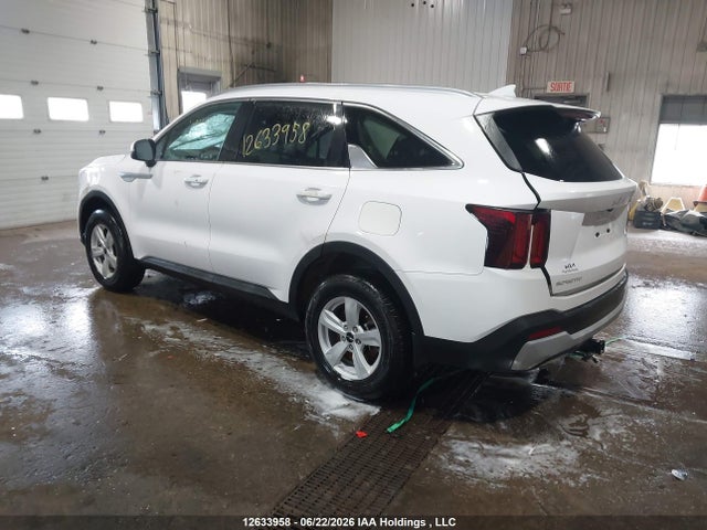 KIA SORENTO LX 2025 5XYRGDJC3SG385568 Image 3