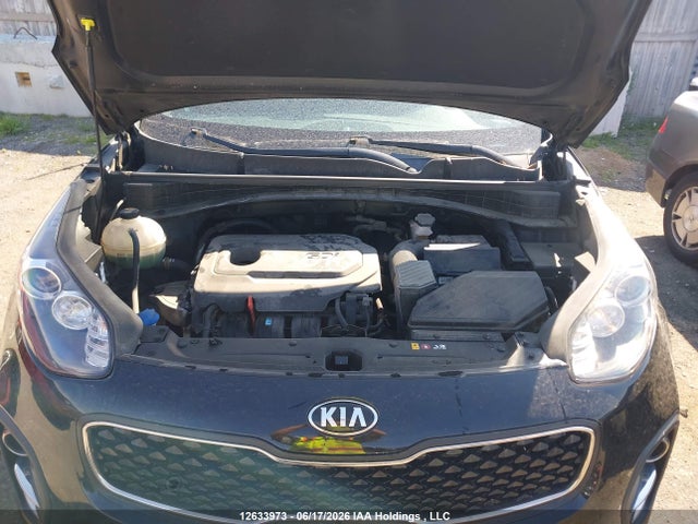 Aukcja sprzedaży 2019 Kia Sportage Lx, vin: KNDPM3AC9K7575320, numer aukcji: 12633973