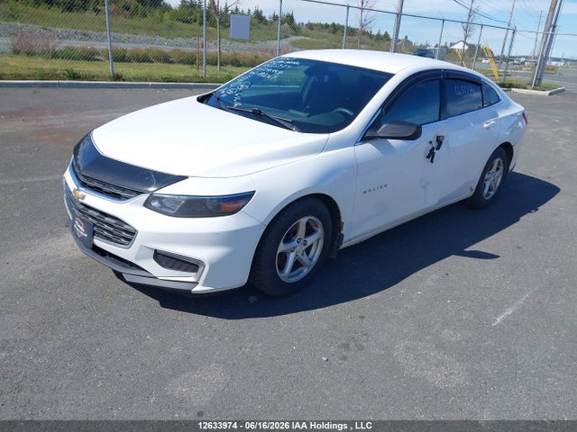 12633974 :رقم المزاد ، 1G1ZB5STXHF246447 vin ، 2017 Chevrolet Malibu Ls مزاد بيع