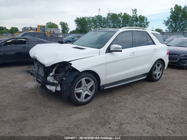 Mercedes-Benz Ml 350 Bluetec 2014 4JGDA2EB7EA351621 Image 2