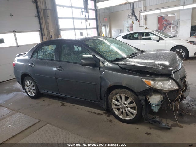 2010 Toyota Corolla მანქანა იყიდება აუქციონზე, vin: 2T1BU4EE2AC221003, აუქციონის ნომერი: 12634106