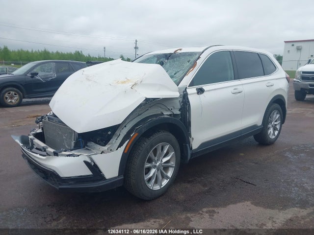 2023 Honda Cr-v Ex-l მანქანა იყიდება აუქციონზე, vin: 2HKRS4H72PH126691, აუქციონის ნომერი: 12634112