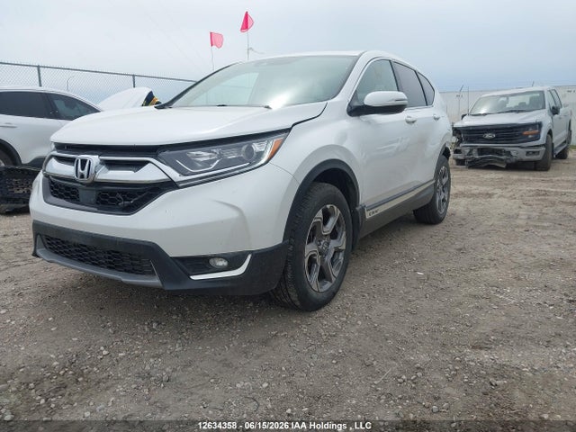 12634358 :رقم المزاد ، 2HKRW2H53KH137618 vin ، 2019 Honda Cr-v Ex مزاد بيع