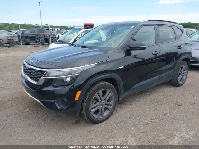 Продаж на аукціоні авто 2021 Kia Seltos, vin: KNDEPCAA4M7114672, номер лоту: 12634483